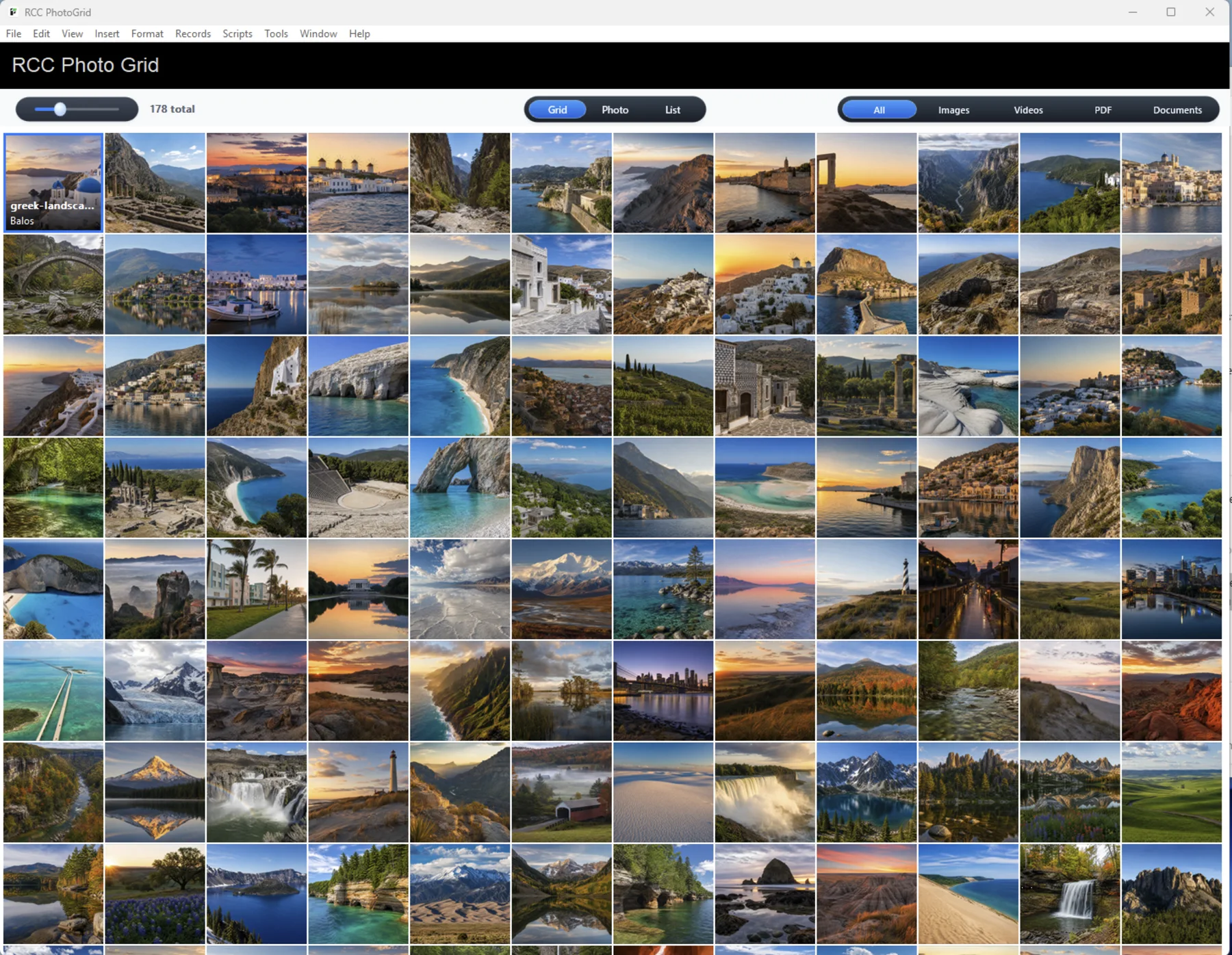 RCCPhotoGrid Windows grid view inside FileMaker Pro.