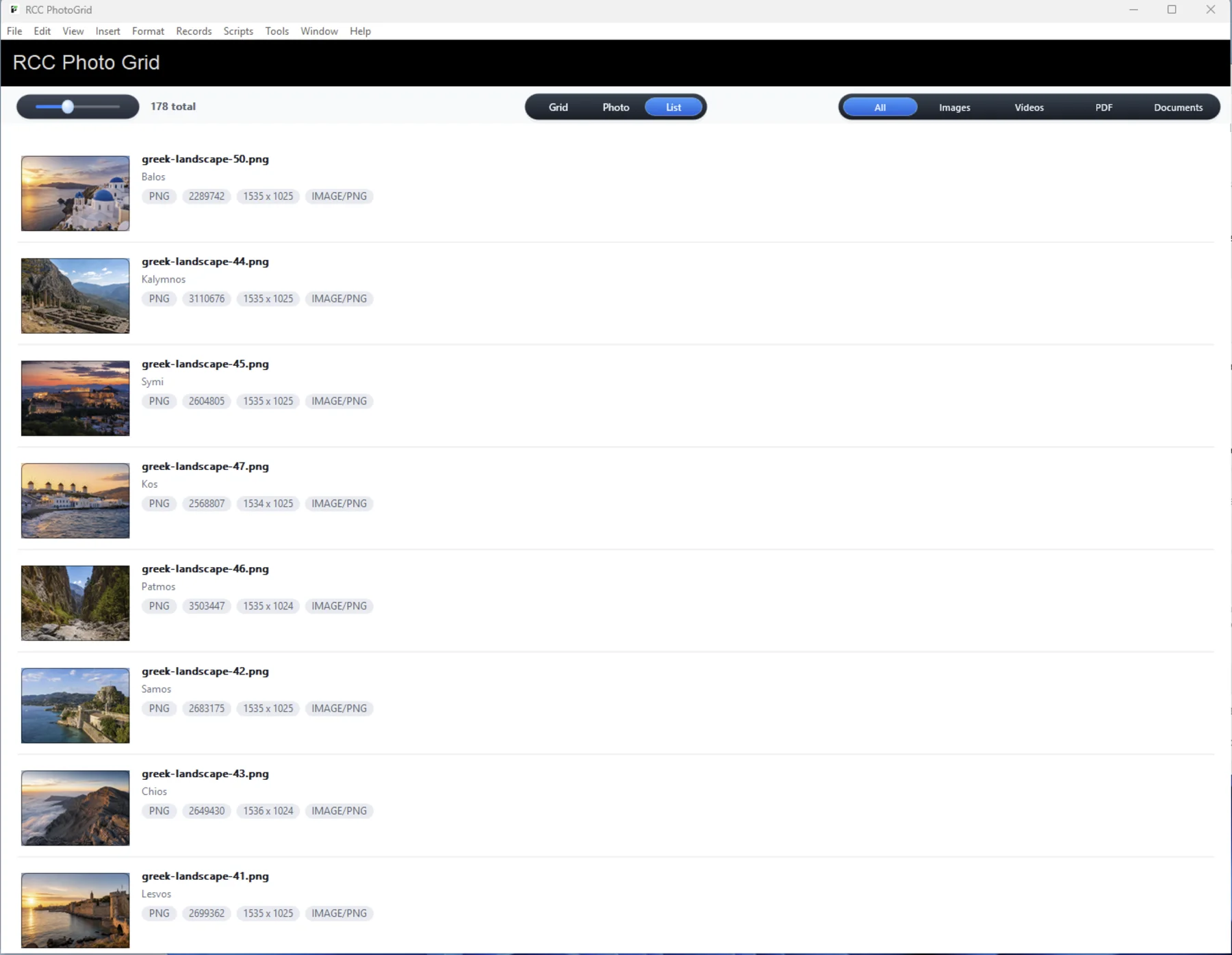 RCCPhotoGrid Windows list view inside FileMaker Pro.
